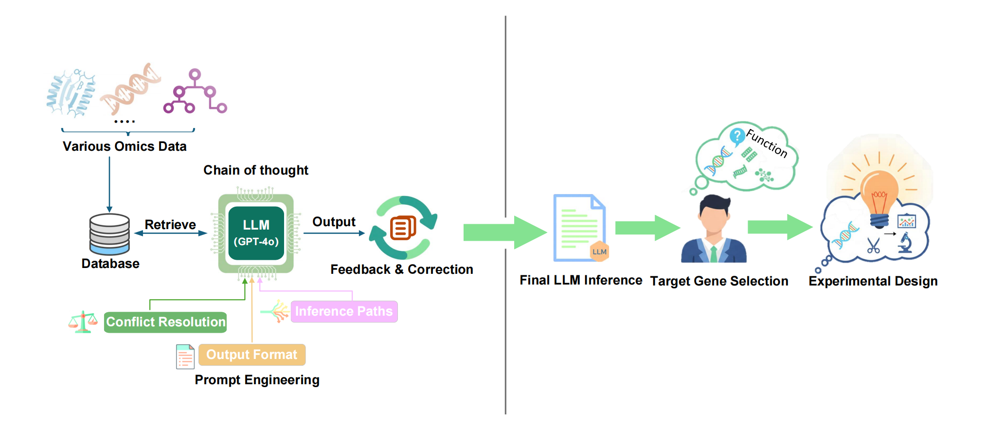 Figure: Technical workflow of GENIUS-LLM platform. The platform integrates multi-omics data through large language model, uses prompt engineering and related techniques to generate chain-of-thought analysis, and provides feedback correction capabilities to assist researchers in target gene selection.